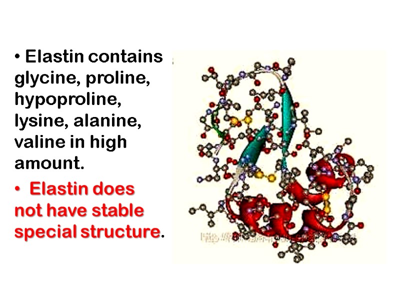 Elastin contains glycine, proline, hypoproline, lysine, alanine, valine in high amount.   Elastin